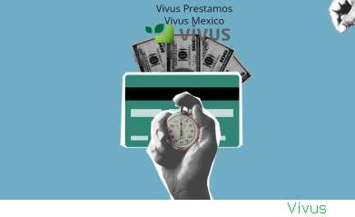 Vivus Zona Clientes